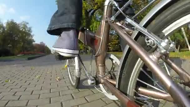 Homme Vélo Sur Parc Automne Avec Des Feuilles Jaunes Tournage — Video