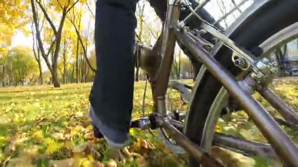Bicicleta Parque Otoño Con Hojas Amarillas Punto Vista Filmación Cámara — Vídeo de stock
