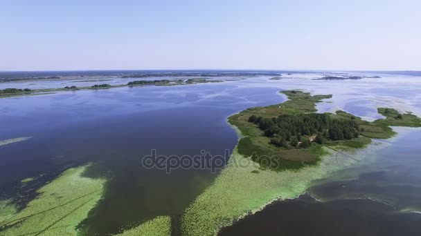 Aerial Grande Fiume Lago Con Isole Alghe Verdi Paesaggio Estivo — Video Stock