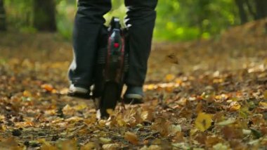 Ağır çekim. Sonbahar Wood, mono tekerlek bırakır dağılım