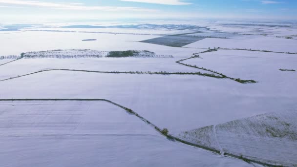 Aérea Volar Sobre Campos Cubiertos Nieve Invierno — Vídeos de Stock