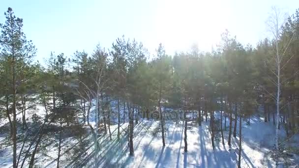 Aerial Para Cima Sobre Inverno Lago Congelado Floresta Com Superfície — Vídeo de Stock