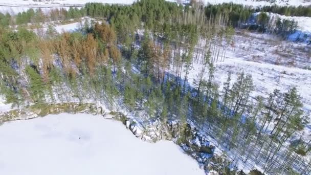 Letecké Zimní Zmrazené Jezero Sněhem Pokryté Plochy — Stock video
