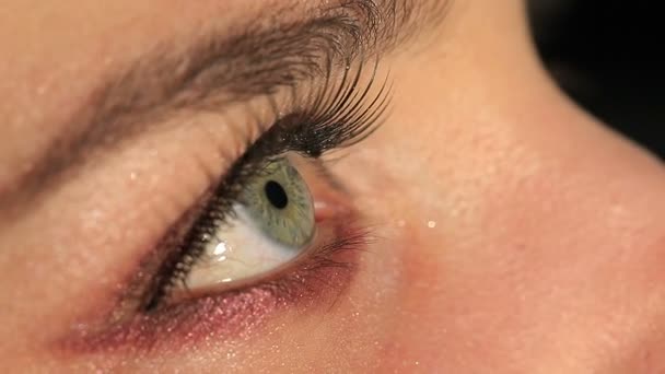 Œil Féminin Cligner Des Yeux Sur Fond Sombre Macro — Video