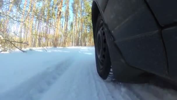Αυτοκίνητο Πηγαίνει Στην Χειμώνας Δάσος Στο Πάρκο Προβολή Του Τροχού — Αρχείο Βίντεο