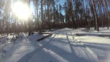 4k. Kış orman veya park, Pov klip, Fpv araçta gerçek hareketi