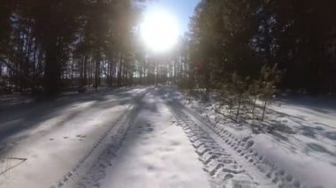 4k. Güneşli bir gün, Pov klip, Fpv ormanda kış otomobilin gerçek hareket