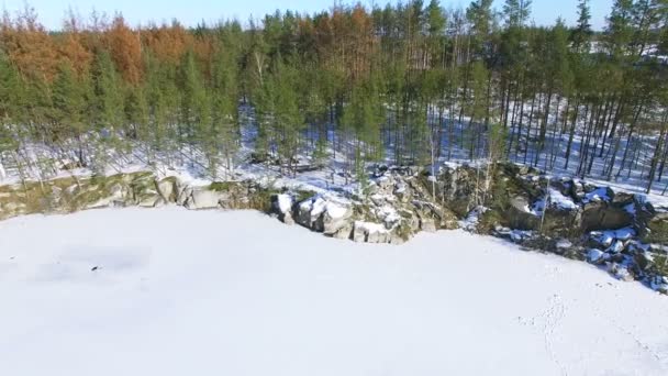 Antenowe Zimą Przelatują Nad Zamarzniętym Jeziorze Drzew Niska Wysokość Panorama — Wideo stockowe