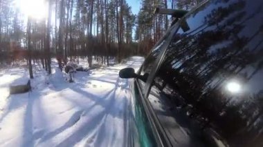 4k. Kış araba turu dunny orman veya park, ağaçlar penceresinde yansımasıdır. POV klip