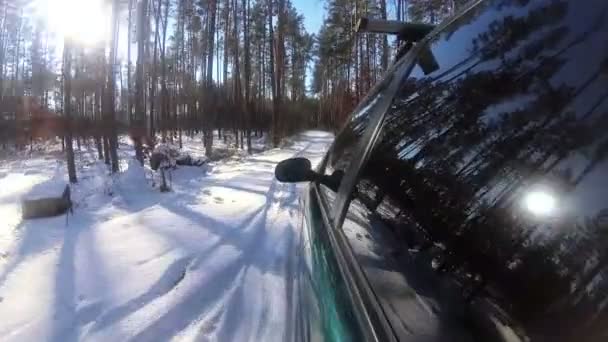 Winter Car Trip Dunny Forest Park Reflection Trees Window Pov — Stock Video