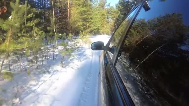 Car Vai Floresta Inverno Parque Reflexão Árvores Janela Clipe Pov — Vídeo de Stock