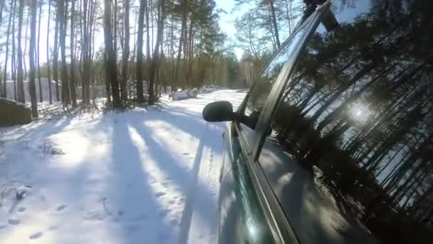 Winter Viaggio Auto Nella Foresta Nel Parco Riflesso Degli Alberi — Video Stock