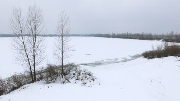 天线冬天湖用树花费 — 图库视频影像