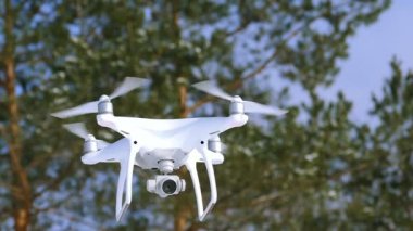 Kiev, Ukrayna, 02.26.2018: Modern drone ile DJI indeks işlem Phantom 4 sinek gökyüzü ve dalları karşı. Ağır çekim