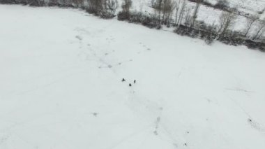 4k hava. Kış donmuş nehir ve buz üzerinde balıkçıların siluetleri