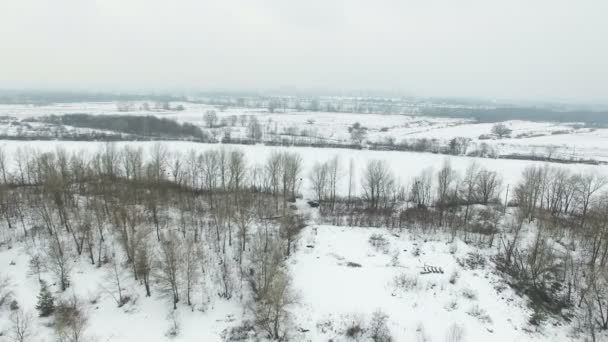 Antenne Winter Gefrorenen Kleinen Fluss Nebligen Tag — Stockvideo