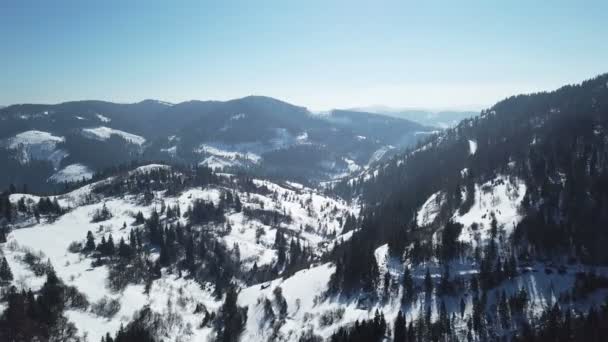 Antenowe Góry Piękny Zimowy Dzień Ukraińskie Karpaty — Wideo stockowe