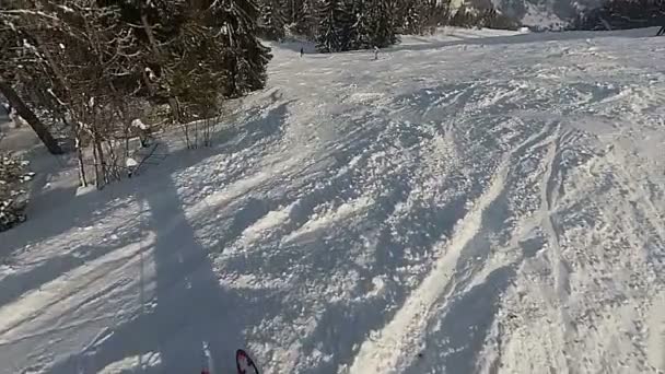 Cámara Lenta Segundos Esquí Montaña Con Sombra Esquiador Pov Clip — Vídeo de stock