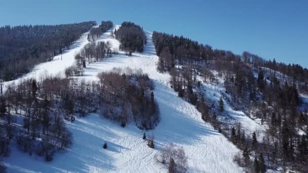 Antény Zimní Čas Horách Hills Stromy Lyžařský Vlek — Stock video