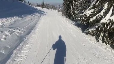 ahşap arasında Kayak legmountain. Kayakçı, Ski. POV yavaş hareketli küçük resim