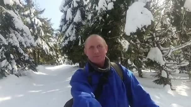 成人男性の観光客は冬の森に行きます お天気の良い日 — ストック動画
