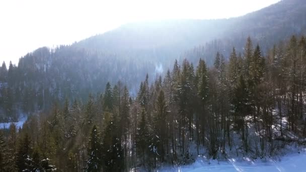 Luchtfoto Wintertijd Berg Hout Zonlicht — Stockvideo