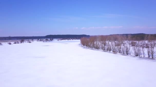 Antenn Över Vintern Frozen River Med Träd Vit Snö — Stockvideo