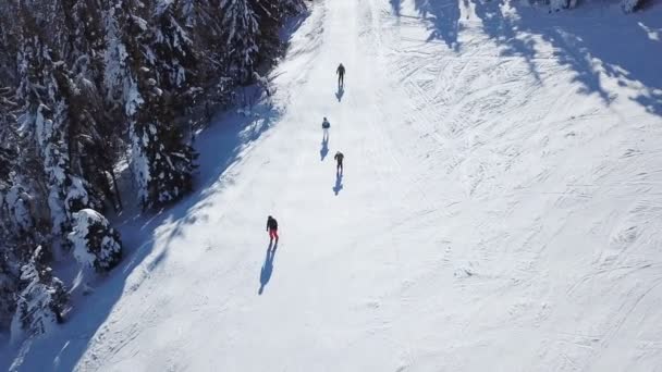 Luchtfoto Skiërs Silhouetten Winter Ski Rusttijd Bovenaanzicht — Stockvideo