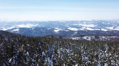 4k. Ahşap ile Aerial.Winter Dağları. Pines karda. 