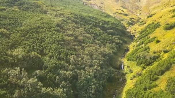 Aerial Flyg Upp Över Små Vattenfall Bergssluttningar Naturens Skönhet — Stockvideo