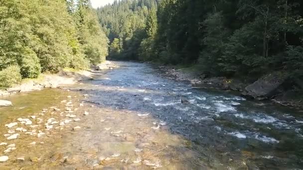 空中だ山の川の上を木で飛ぶ 低い高さ スローモーション — ストック動画