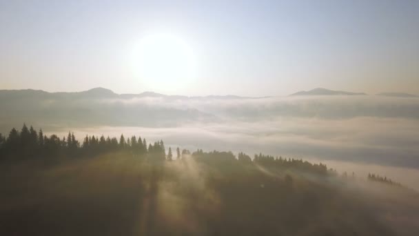 Amazing Aerial Mountain Landscape 在日出的云彩上飞翔 在山顶上用木柴 — 图库视频影像