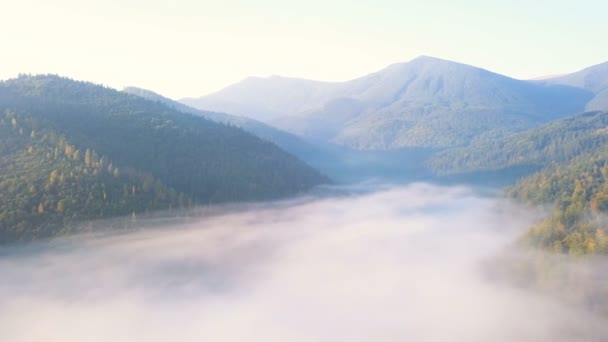 Paesaggio Montano Aereo Bellissima Mosca Sopra Nuvole Valle Colline Con — Video Stock