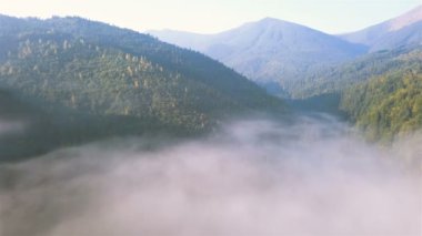 4k Havacılık manzarası. Dağ vadisinde bulutların üzerinden uçun, tepeler odunlarla.