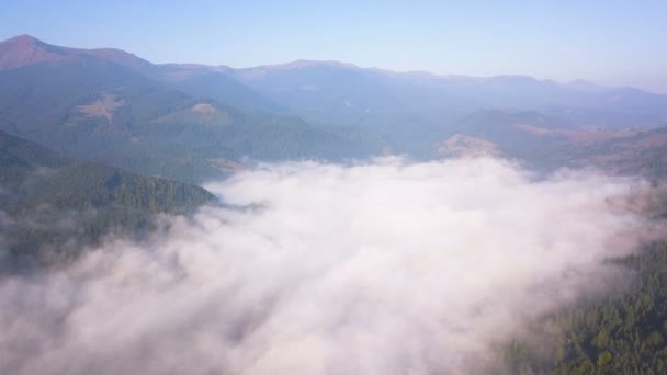 4K空中風景 山の中の川のような雲の上を飛ぶ 木と丘 — ストック動画