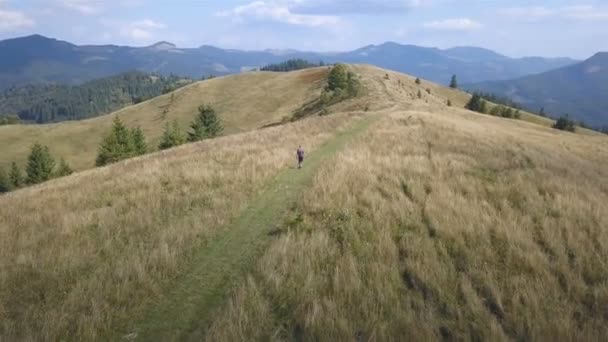 Aerial Voar Torno Turista Homem Adulto Cume Área Montanha Equipa — Vídeo de Stock