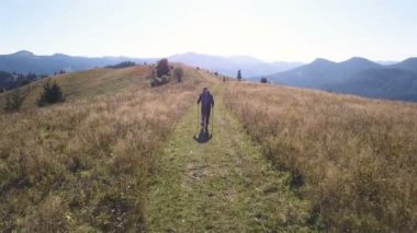 4k .Aerial. Sonbahar dağ tepesinde sırtta sopalarla gezen bir adam.. 
