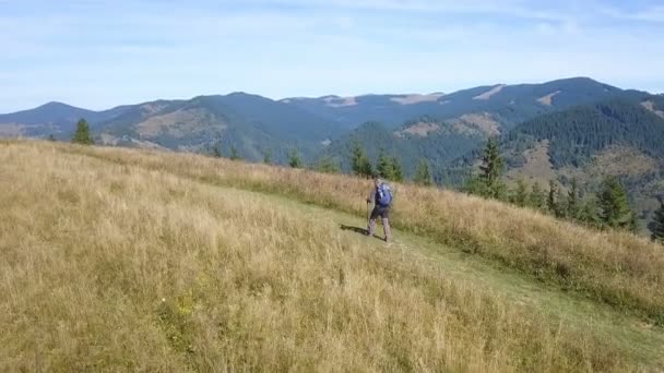 Aerial Autumn Mountain Hill Sırtında Sopalarla Gezen Bir Adam Arka — Stok video