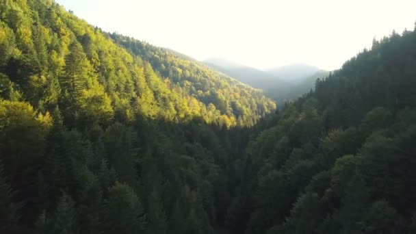 Aerial 用太阳光从山上的小山谷上空飞过 美丽的大自然 — 图库视频影像