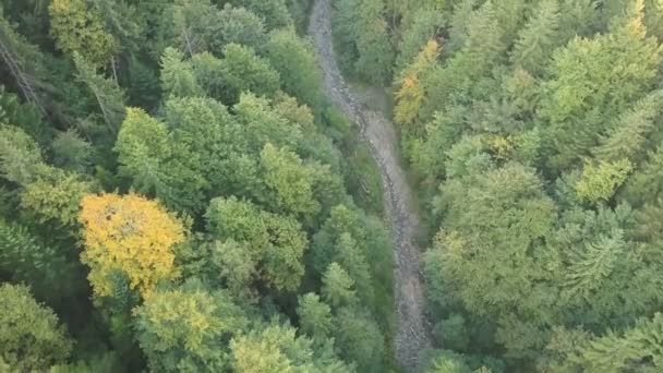 Aerial Volar Sobre Bosque Montaña Con Arroyo Belleza Naturaleza — Vídeos de Stock