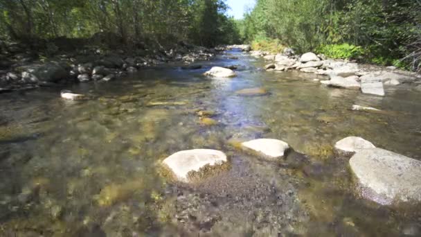 4Kの風景自然の美しさ 山の静かなストリーム 木の川 絵の石 — ストック動画