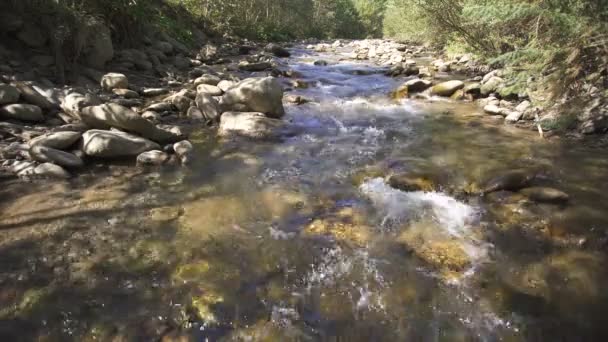 Paesaggio Bellezza Della Natura Fiume Montagna — Video Stock