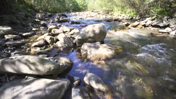 Manzara Doğanın Güzelliği Dağ Nehri Dere Taşlar — Stok video