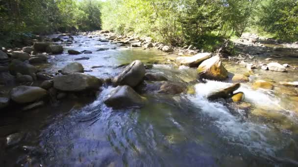4Kの風景自然の美しさ 山の川 流れと石 — ストック動画