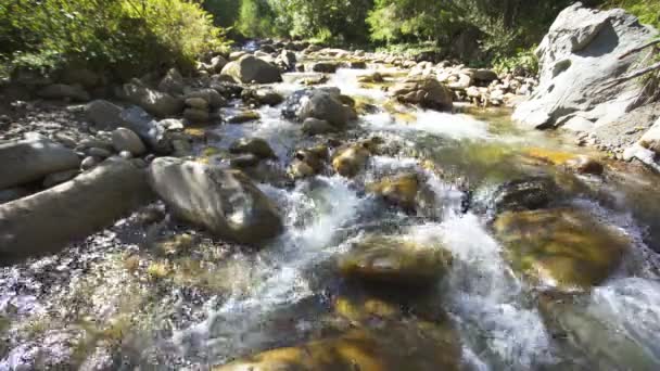 Słoneczny Krajobraz Górska Rzeka Strumień Woda Kamienie Piękno Natury — Wideo stockowe