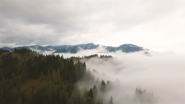 Aerial Beautiful Муха Среди Горных Облаков Туман Мрачный День Холмы — стоковое видео