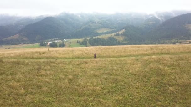 Aérea Hombre Turista Con Palos Cresta Colina Montaña — Vídeos de Stock