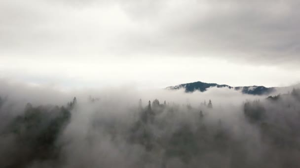 Aérea Vuela Través Las Nubes Montaña Colinas Con Madera Baja — Vídeos de Stock