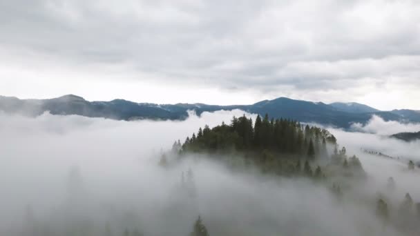 Aereo Sopra Nuvole Montagna Colline Con Legno Bassa Altezza Paesaggio — Video Stock