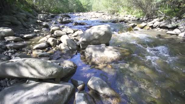 Rio Montanha Fluxo Fluxo Água Pedras Beleza Natureza Câmera Lenta — Vídeo de Stock